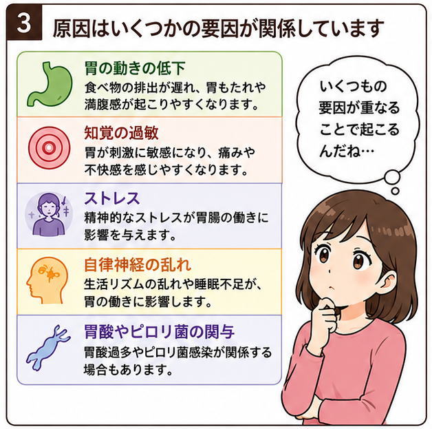 原因はいくつかの要因が関係していますというタイトルと、「胃の動きの低下」「知覚の過敏」「ストレス」「自律神経の乱れ」「胃酸やピロリ菌の関与」の説明のイラスト