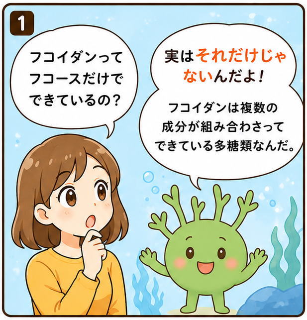 「フコイダンってフコースだけでできているの？」と尋ねる女性と、「実はそれだけじゃないんだよ！フコイダンは複数の成分が組み合わさってできている多糖類なんだ」とこたえるもずくの妖精もずちのイラスト