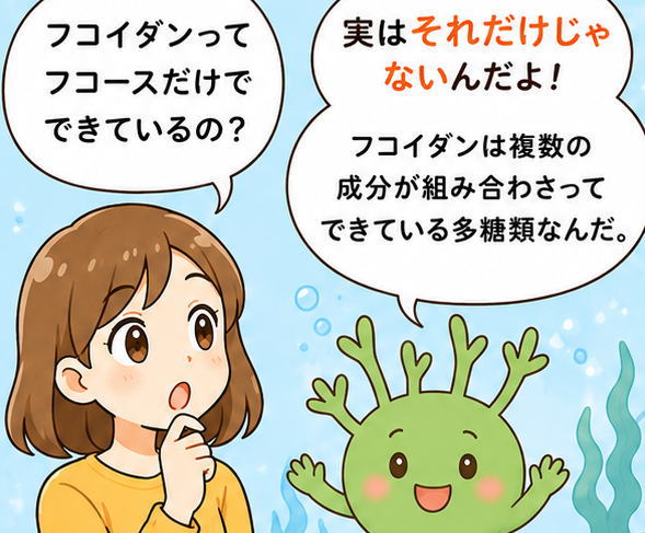 「フコイダンってフコースだけでできているの？」と尋ねる女性と、「実はそれだけじゃないんだよ！フコイダンは複数の成分が組み合わさってできている多糖類なんだ」とこたえるもずくの妖精もずちのイラスト
