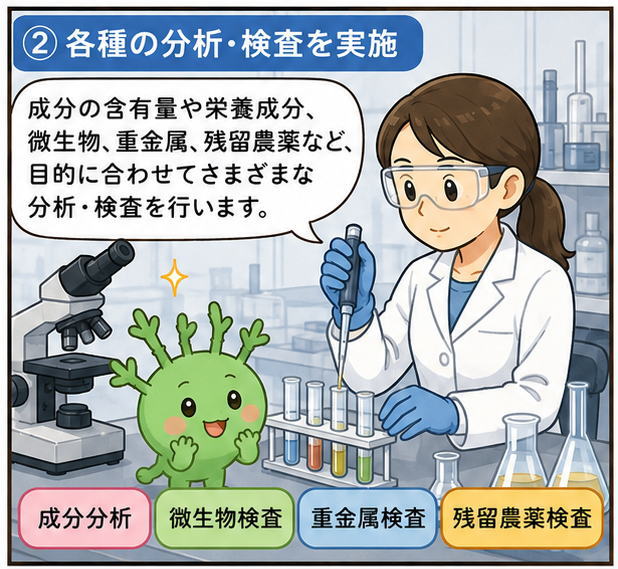 各種の分析・検査を実施、というタイトルと、「成分の含有量や栄養成分、微生物、重金属、残留農薬など、目的に合わせてさまざまな分析・検査を行います」と話す研究機関の女性のイラストと顕微鏡のイラスト