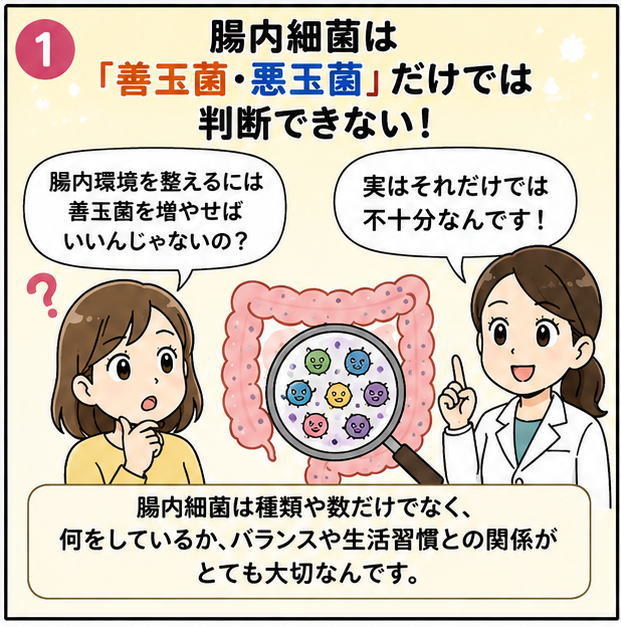 腸内細菌は「善玉菌・悪玉菌」だけでは判断できない!というタイトルと、「腸内環境を整えるには善玉菌を増やせばいいんじゃないの?」と質問する「実はそれだけでは不十分なんです」と解説する研究者の女性のイラスト