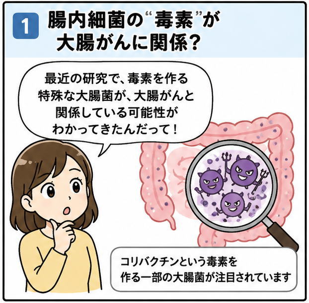 大腸の”毒素”が大腸がんに関係？というタイトルと、「最近の研究で、毒素を作る特殊な大腸菌が、大腸がんと関係している可能性がわかってきたんだって」と話す女性と、大腸のイラスト