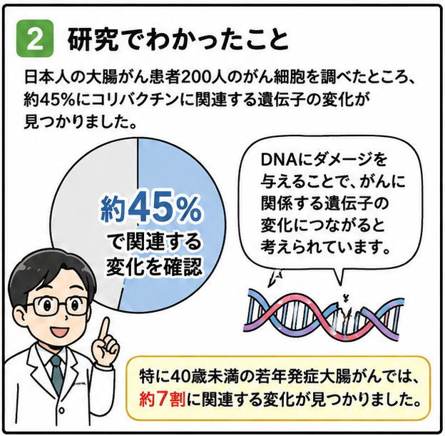 研究でわかったこと、というタイトルと、「日本人の大腸がん患者200人のがん細胞を調べたところ、約45％にコリバクチンに関連する遺伝子の変化が見つかりました、という文字と、研究者の解説イラスト