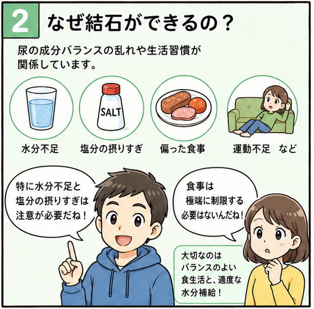 なぜ結石ができるの？というタイトルと、尿の成分バランスの乱れや生活習慣が関係しています。「水分不足」「塩分の摂りすぎ」「偏った食事」「運動不足」などと解説する文字とイラスト