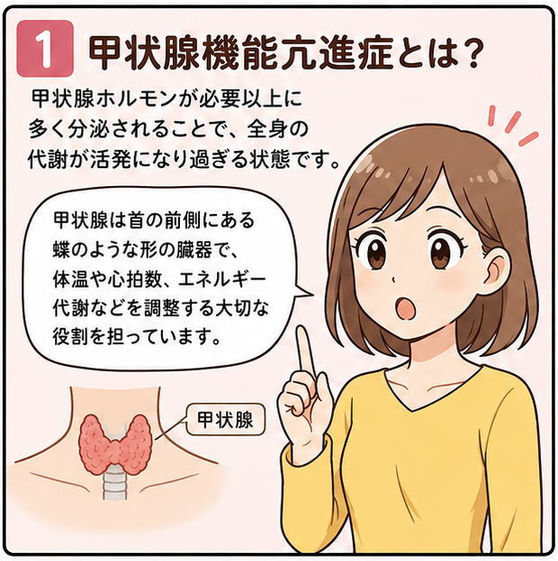 甲状腺機能亢進症とは、というタイトルと、甲状腺は首の前側にある蝶のような形の臓器で、体温や心拍数、エネルギー代謝などを調整する大切な役割を担っています。と話す女性のイラスト