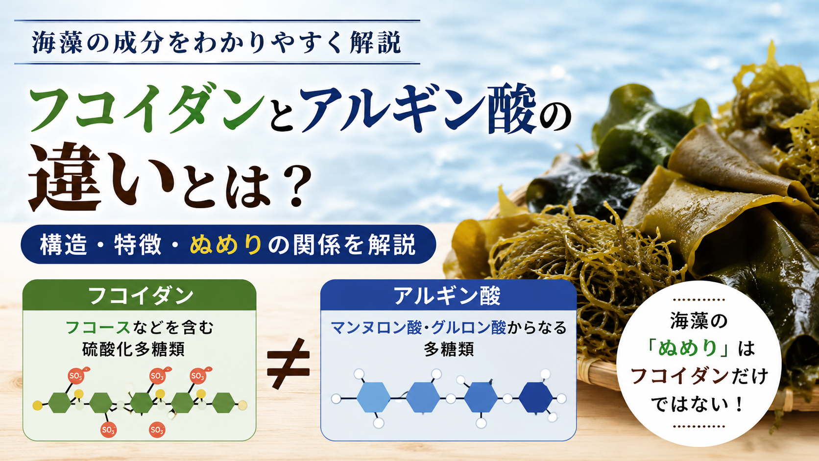 フコイダンとアルギン酸の違いとは？構造・特徴・ぬめりの関係を解説、というタイトルと構造式を描いたアイキャッチ画像