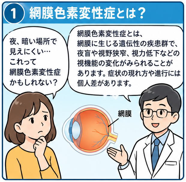 網膜色素変性症とは何かを解説する4コマ漫画。暗い場所で見えにくい女性と医師、網膜のイラストを描いた説明