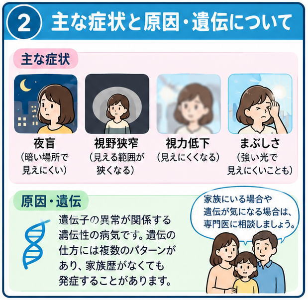網膜色素変性症の主な症状と原因・遺伝について解説する4コマ漫画。夜盲、視野狭窄、視力低下、まぶしさと遺伝子のイラスト