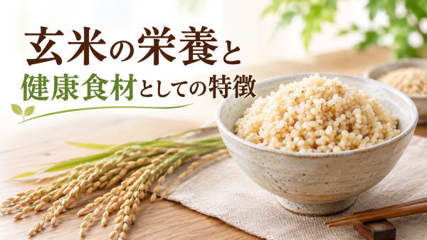 玄米の栄養と健康食材としての特徴を紹介するイメージ