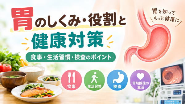 胃のしくみ・役割と健康対策を示したイラスト