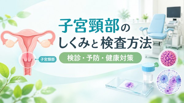 子宮頸部の位置と子宮頸がん検診・細胞診などの検査方法を示したイラスト