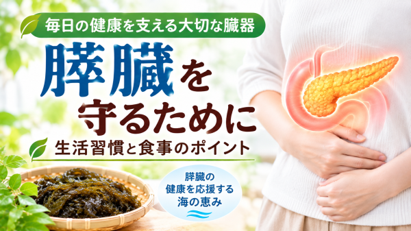 膵臓のしくみと役割、検査方法、健康管理のポイントを示したイメージ画像