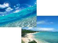 The nutrient-rich sea of Okinawa