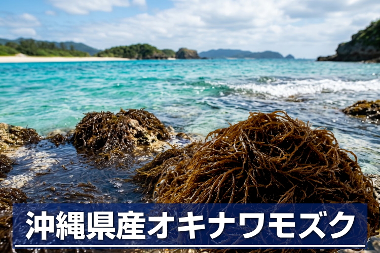 モズク
