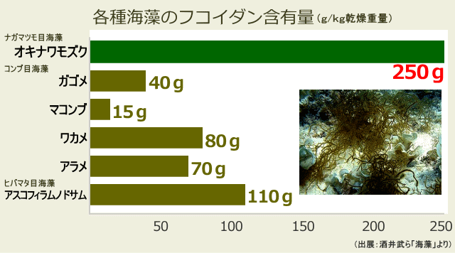 海藻の種類と含有量