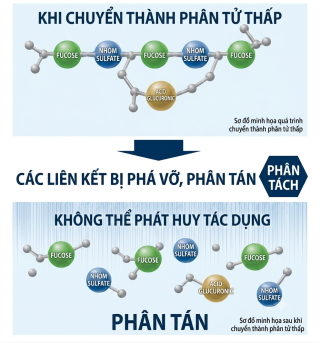 Không thể duy trì các đặc tính vốn có