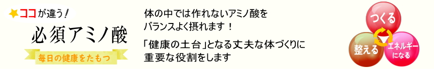 体を作る・整える・エネルギーになる