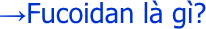 Click here for the Vietnamese website.