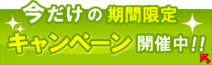 今だけの期間限定キャンペーン