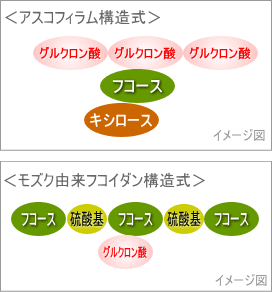 アスコフィラムとモズクの構造式