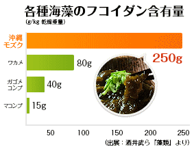 各種海藻のフコダイン含有量