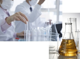 フコキサンチンのすすむ研究開発