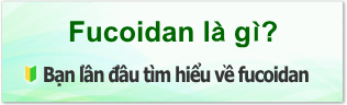 Bạn lần đầu tìm hiểu về fucoidan