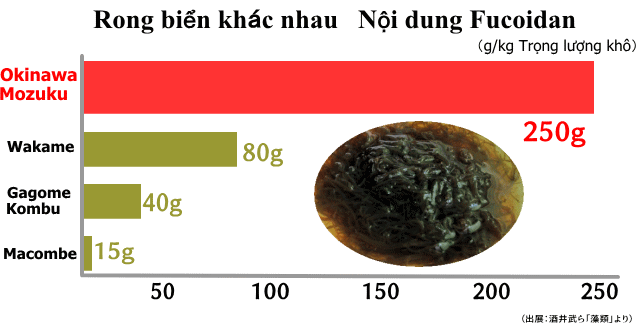 okinawa fucoidan