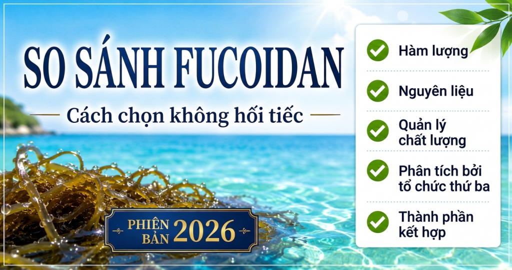Một hình ảnh quảng cáo giới thiệu về sản phẩm Fucoidan với tiêu đề lớn "SO SÁNH FUCOIDAN", cùng với một danh sách các tiêu chí để lựa chọn: Hàm lượng, Nguyên liệu, Quản lý chất lượng, Phân tích bởi tổ chức thứ ba, và Thành phần kết hợp. Phía dưới hình ảnh là một khung nhỏ ghi rõ "PHIÊN BẢN 2026". Nền hình ảnh là một bãi biển xanh trong, với những cây rong biển tươi tốt ở phía trước.