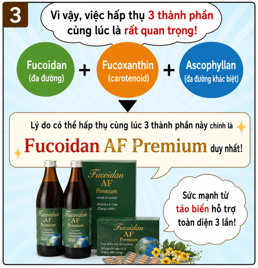 Infographic giới thiệu ba thành phần chính của rong biển gồm Fucoidan, Fucoxanthin và Ascophyllan, với hình ảnh minh họa nguồn gốc, đặc điểm và cấu trúc hóa học của từng thành phần.