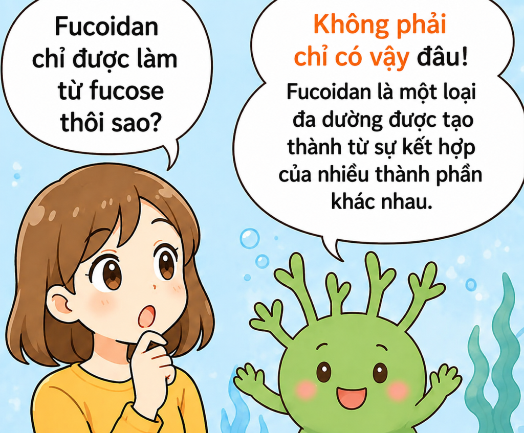 Hình minh họa một người phụ nữ hỏi: "Fucoidan chỉ được tạo thành từ fucose thôi sao?" và Mozuchi, một nàng tiên rong biển, trả lời: "Thực ra không chỉ có vậy! Fucoidan là một polysaccharid được tạo thành từ sự kết hợp của nhiều thành phần."