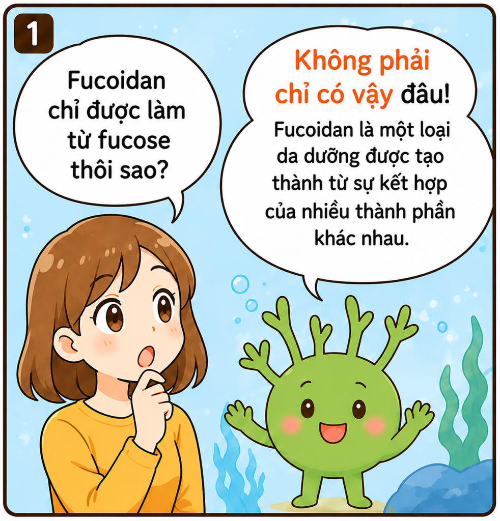 Hình minh họa một người phụ nữ hỏi: "Fucoidan chỉ được tạo thành từ fucose thôi sao?" và Mozuchi, một nàng tiên rong biển, trả lời: "Thực ra không chỉ có vậy! Fucoidan là một polysaccharid được tạo thành từ sự kết hợp của nhiều thành phần."