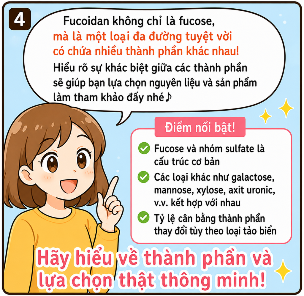 **Văn bản thay thế (Alt text):**

Infographic minh họa bằng phong cách hoạt hình giải thích rằng **fucoidan là một loại polysaccharide (đa đường)** được cấu tạo từ nhiều thành phần, không chỉ có **fucose**. Hình ảnh giới thiệu các thành phần chính gồm **fucose, galactose, mannose, xylose và axit uronic**, cách chúng liên kết với nhau để tạo thành fucoidan, đồng thời cho biết tỷ lệ của các thành phần có thể thay đổi tùy theo **loại rong biển, nơi thu hoạch và quy trình sản xuất**. Phần kết luận tóm tắt những điểm quan trọng giúp người đọc hiểu rõ hơn về thành phần của fucoidan khi lựa chọn sản phẩm.
