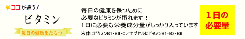 毎日の食事から補う必要があるビタミンの役割